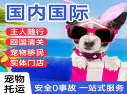 上海虹桥机场空运国际宠物托运 【国